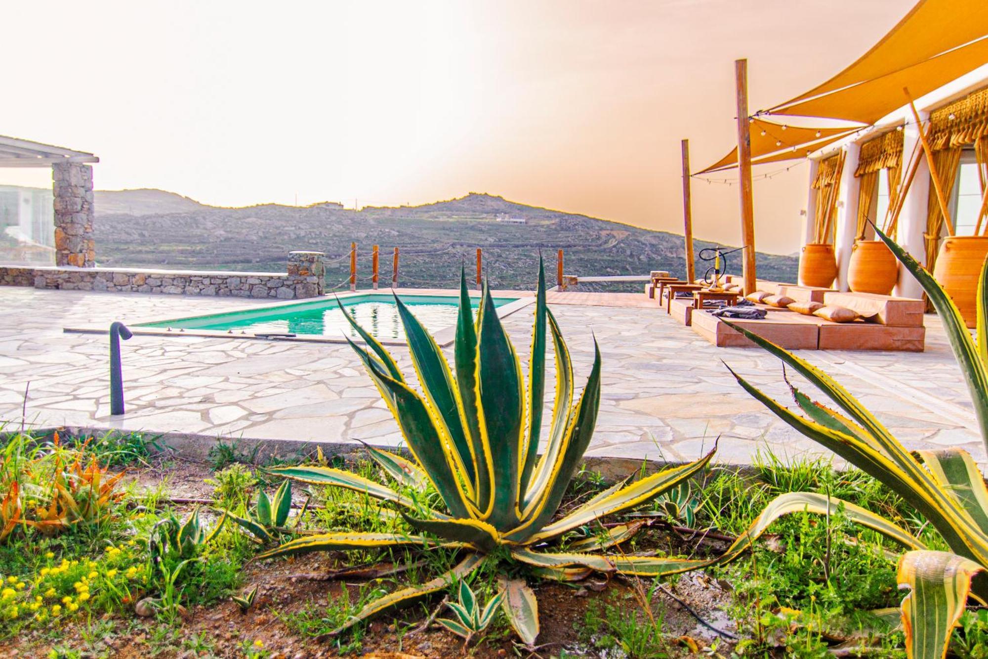 Poppy Mykonos